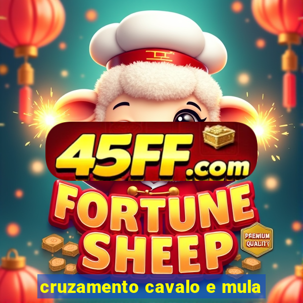 cruzamento cavalo e mula